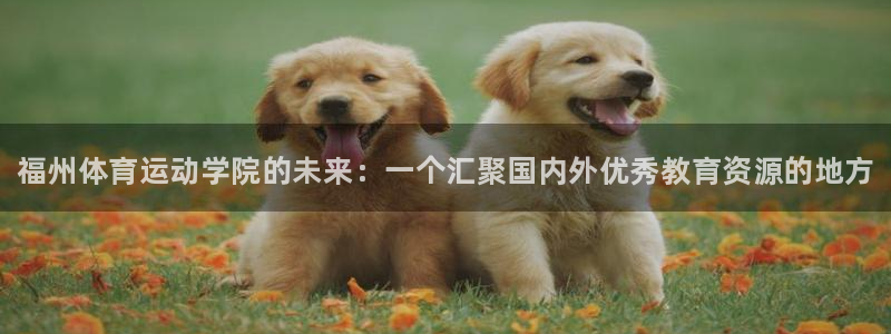凯发官网下载招商电话地址查询:福州体育运动学院的未来:一个汇
