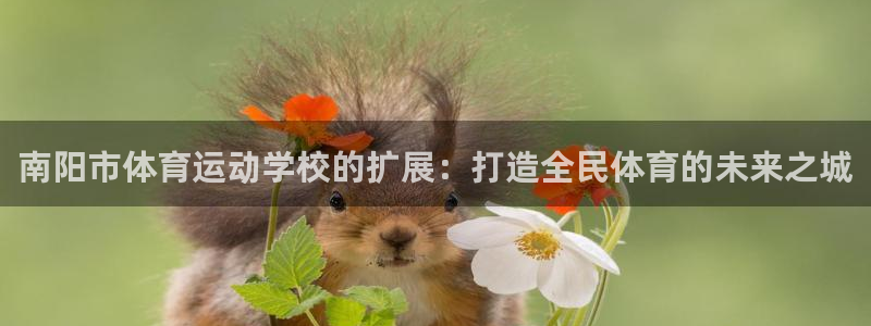 凯发官方正版app集团官网首页网址:南阳市体育运动学校的扩展