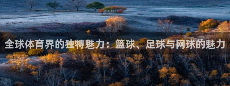 凯发官方正版app神州:全球体育界的独特魅力:篮球、足球与网